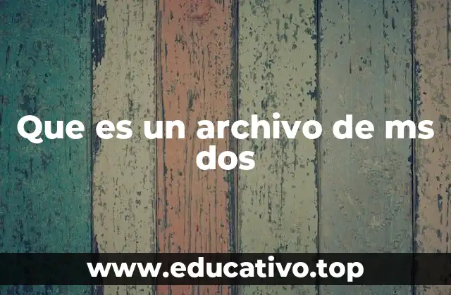 Que es un archivo de ms dos