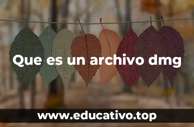 El papel de los archivos .dmg en la distribución de software