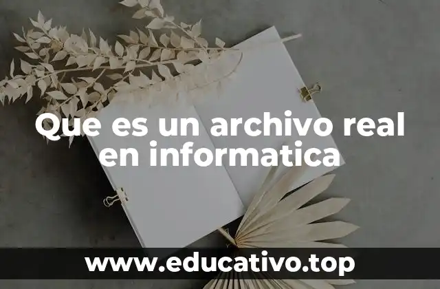 Que es un archivo real en informatica