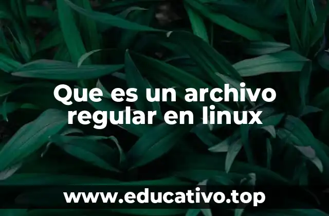 Que es un archivo regular en linux