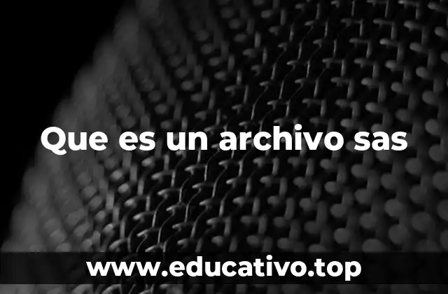 Que es un archivo sas