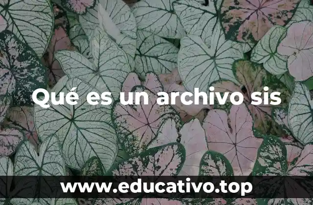 Qué es un archivo sis