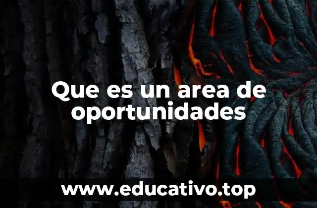 Que es un area de oportunidades