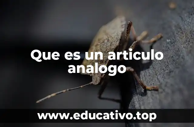 Que es un articulo analogo