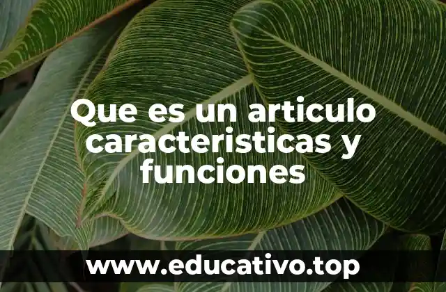 Que es un articulo caracteristicas y funciones