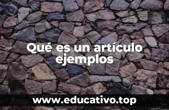 Qué es un artículo ejemplos