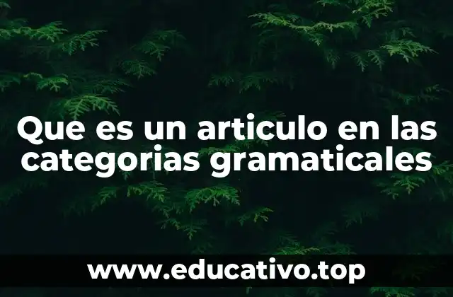 El papel del artículo en la estructura de las oraciones