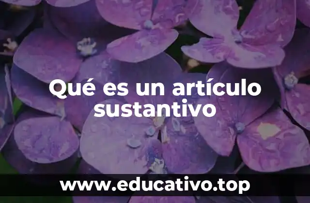 Qué es un artículo sustantivo