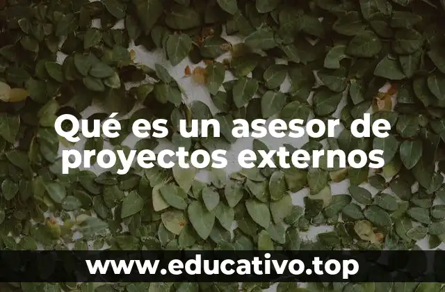 Qué es un asesor de proyectos externos