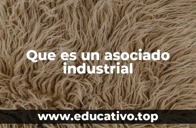 La participación en proyectos industriales sin aportar capital