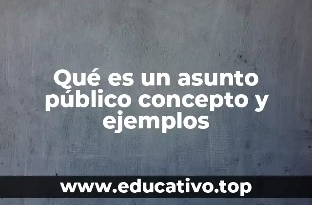 Qué es un asunto público concepto y ejemplos