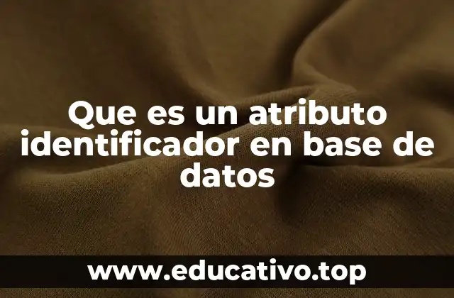 Que es un atributo identificador en base de datos