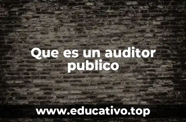 Que es un auditor publico