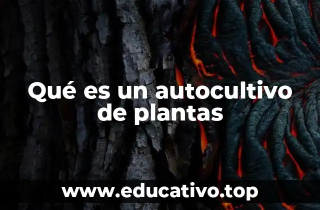 La importancia del autocultivo en la vida moderna