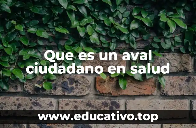 Que es un aval ciudadano en salud