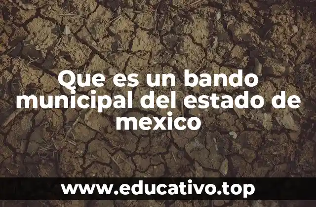 Que es un bando municipal del estado de mexico