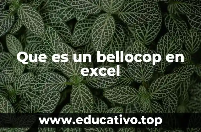 Que es un bellocop en excel
