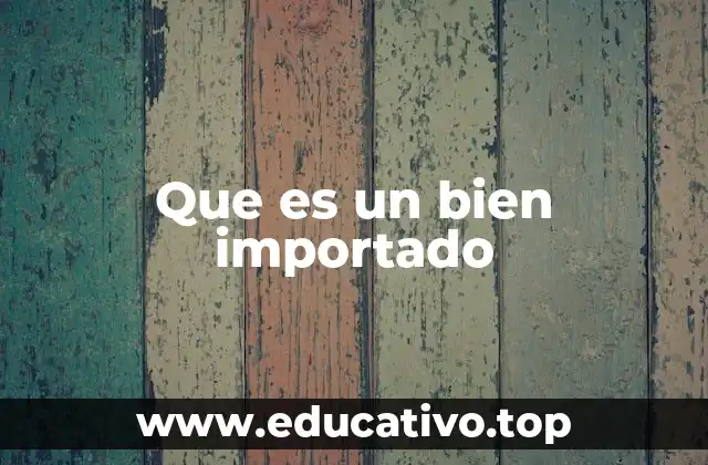 Que es un bien importado