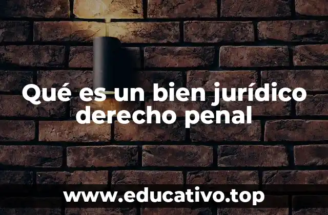 Qué es un bien jurídico derecho penal