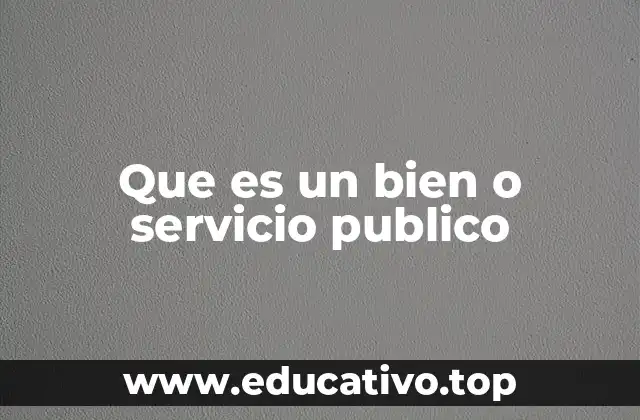 Que es un bien o servicio publico