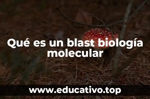Qué es un blast biología molecular