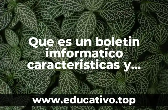 El papel del boletín informativo en la comunicación institucional