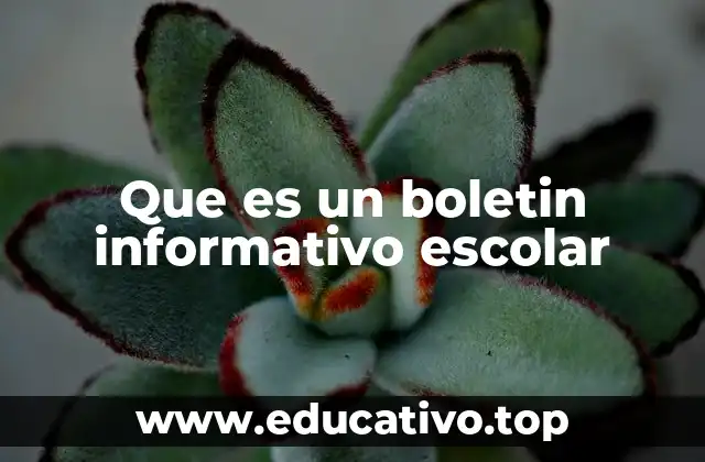 Que es un boletin informativo escolar