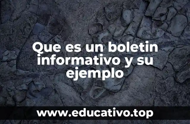 Que es un boletin informativo y su ejemplo