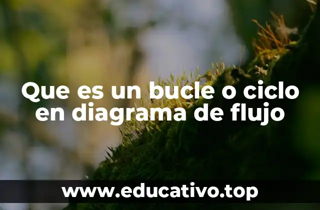 Que es un bucle o ciclo en diagrama de flujo