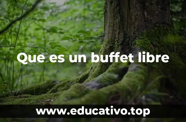 Que es un buffet libre