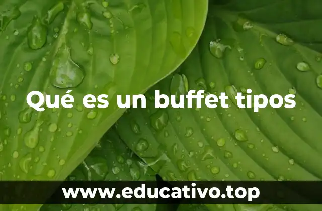 Qué es un buffet tipos