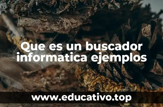 Que es un buscador informatica ejemplos