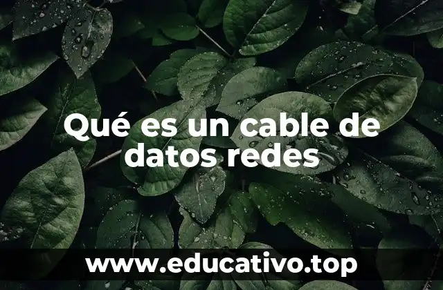 Qué es un cable de datos redes