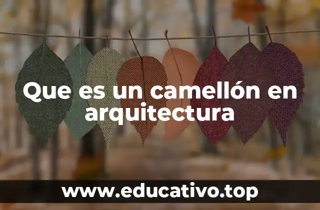Que es un camellón en arquitectura