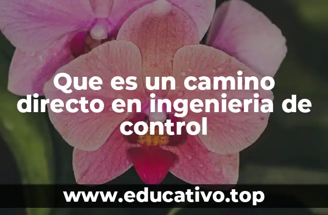 La importancia del camino directo en el análisis de sistemas