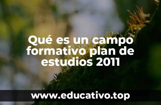 Qué es un campo formativo plan de estudios 2011