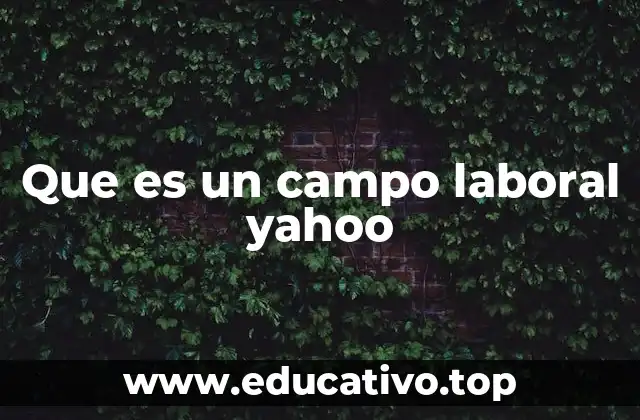 Que es un campo laboral yahoo