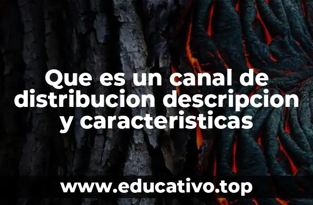 Que es un canal de distribucion descripcion y caracteristicas