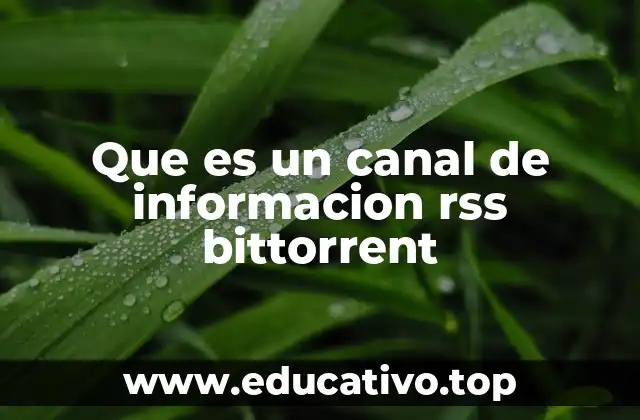 Que es un canal de informacion rss bittorrent