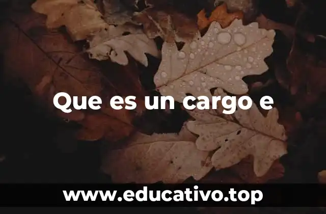 El papel de los cargos en la estructura organizacional