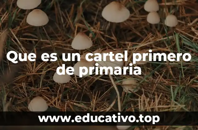Que es un cartel primero de primaria