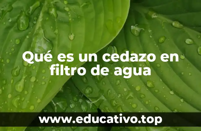 El papel del cedazo en la purificación del agua