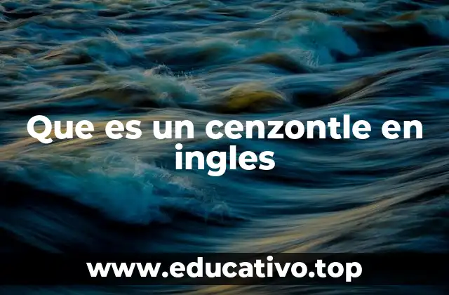 Que es un cenzontle en ingles