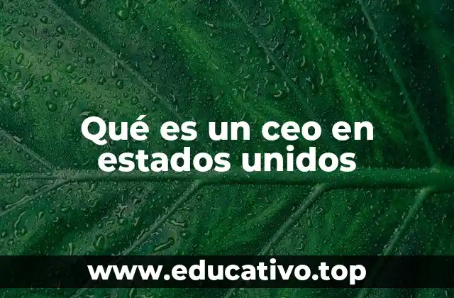 La importancia del CEO en la estructura corporativa estadounidense