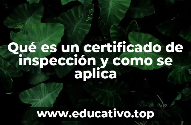 Qué es un certificado de inspección y como se aplica