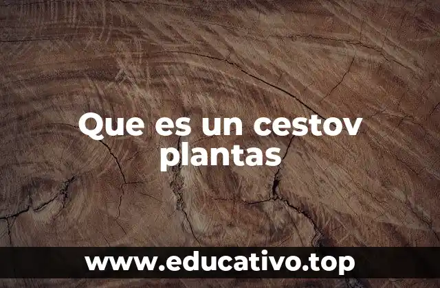 Que es un cestov plantas