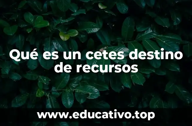 Qué es un cetes destino de recursos