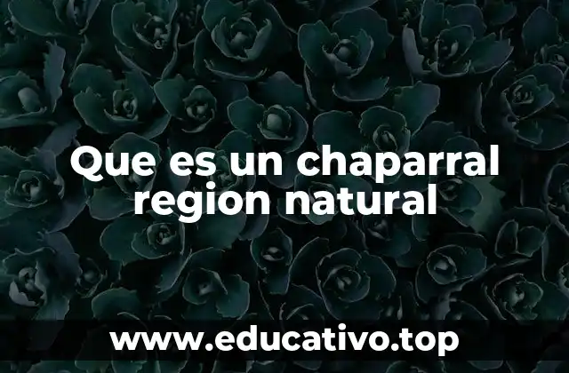 Que es un chaparral region natural
