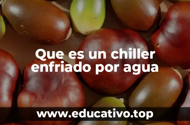 Aplicaciones industriales y comerciales de los chillers enfriados por agua