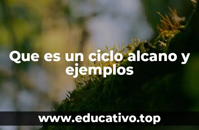 Que es un ciclo alcano y ejemplos
